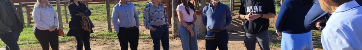 WhatsApp Image 2025-06-26 at 09.33.16